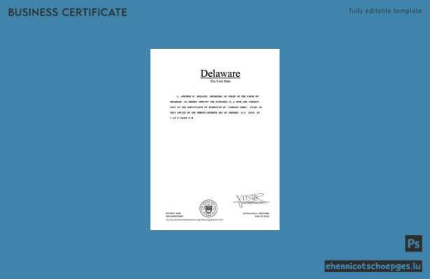 USA Delaware Registrierungszertifikat Word- und PDF-Beispielvorschau